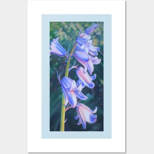 Virginia Blue Bells Posters and Art